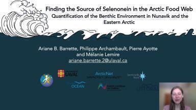 Finding the Source of Selenonein in the Arctic Food Web: Quantification of the Benthic Environment